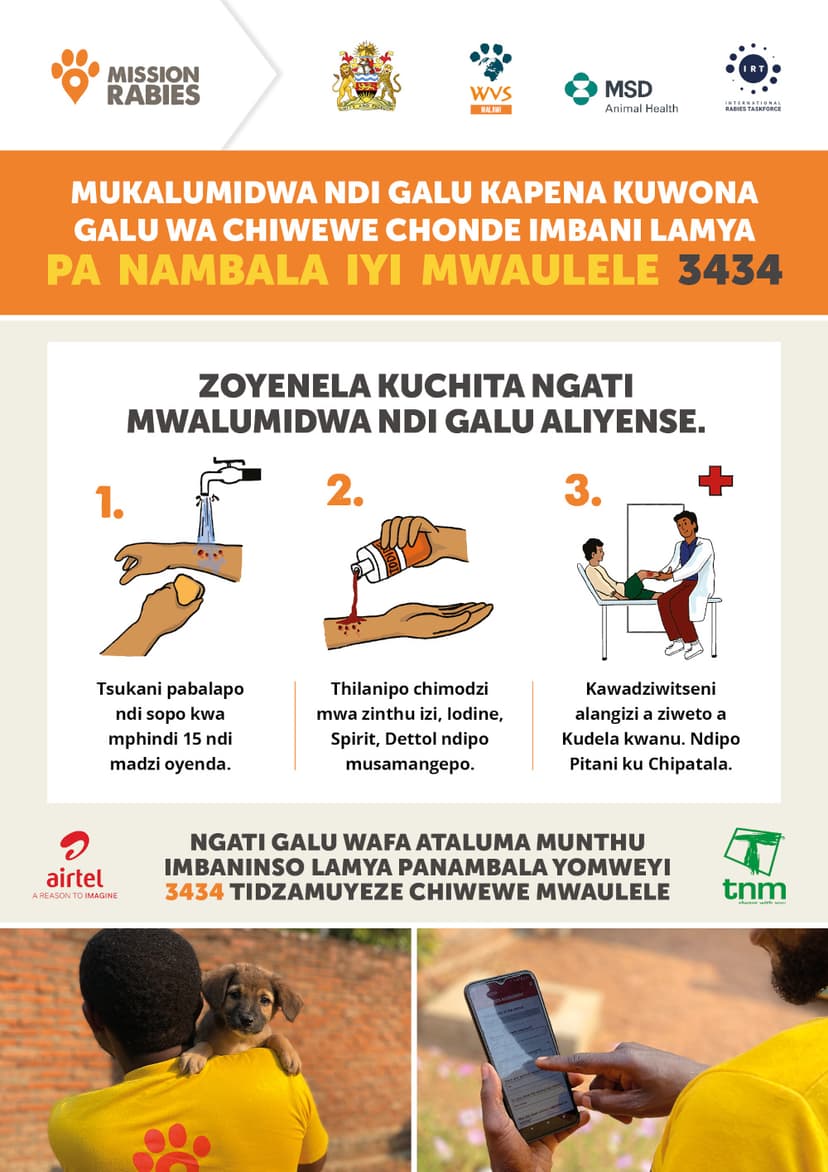 What to do if bitten by a dog (Chichewa)