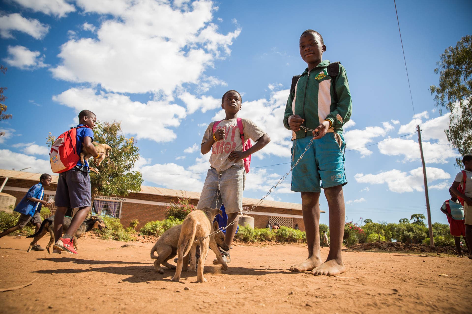 A child dies of rabies every 9 minutes.