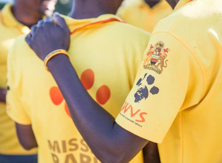 Partners and Stakeholders